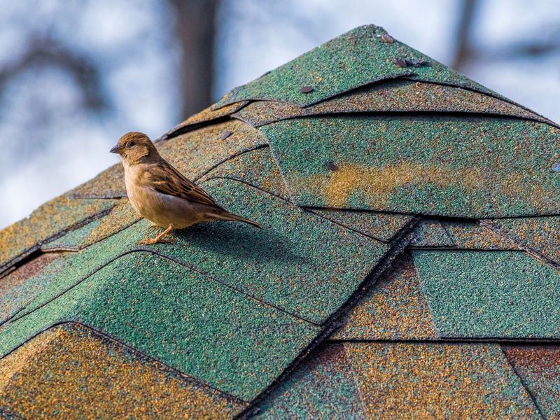 Roofing job near Clinton, IA